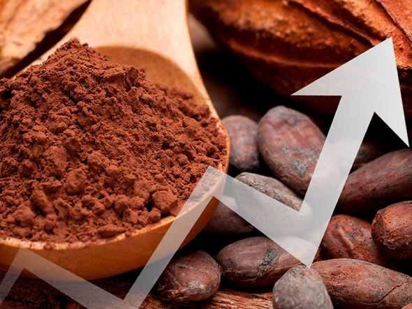 Previsione cacao: perché conviene investire nel cacao oggi?