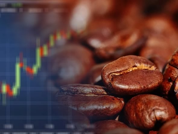 Investire e fare trading sul caffè